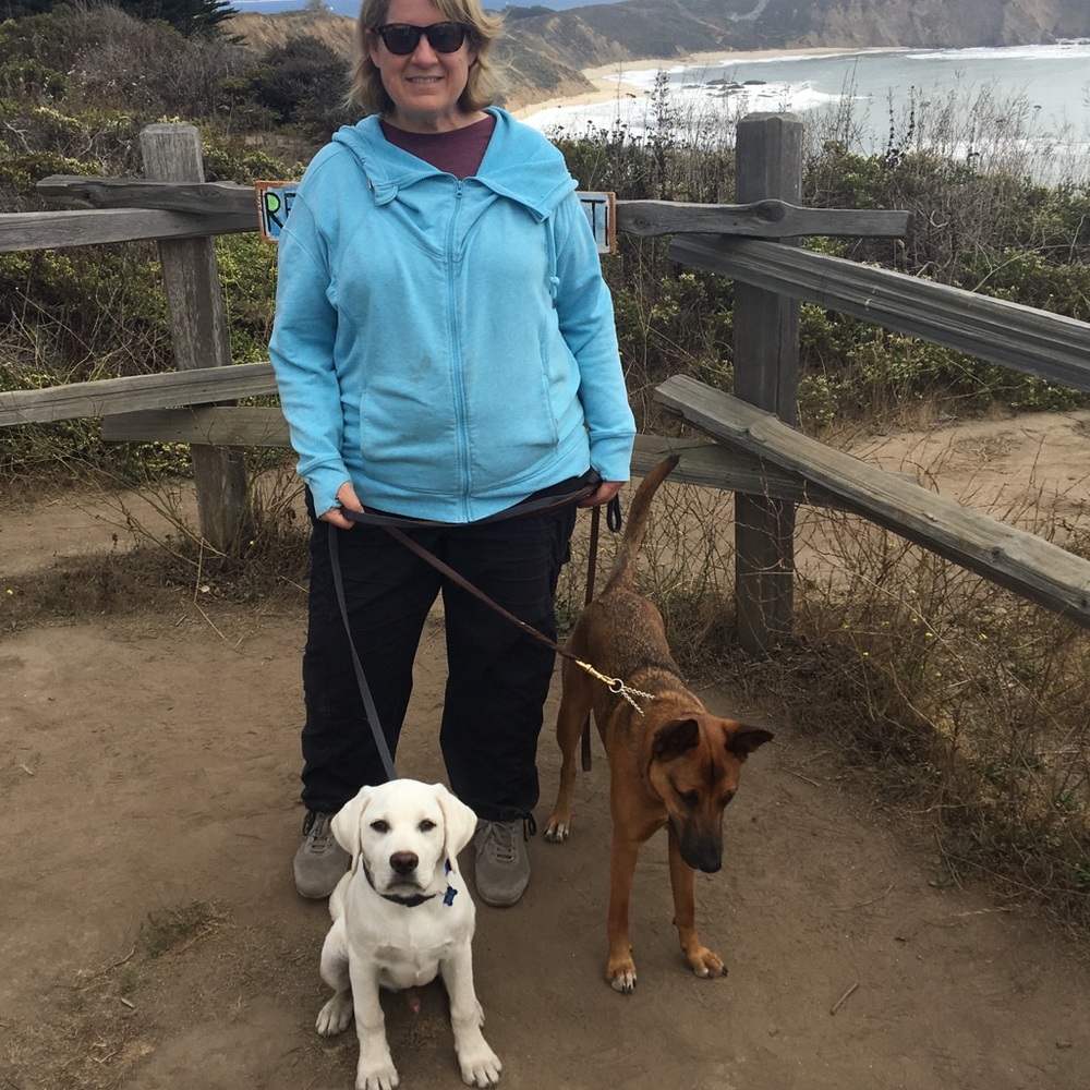 Meet your Posher, Susan